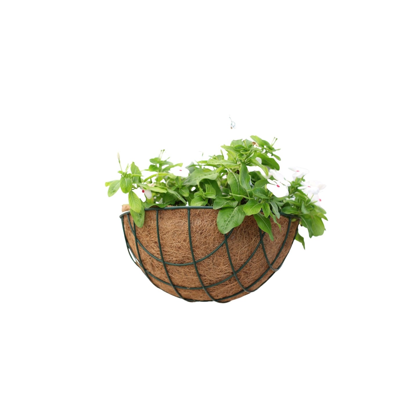 Hanging Basket inkl. Kokoseinsatz 30cm