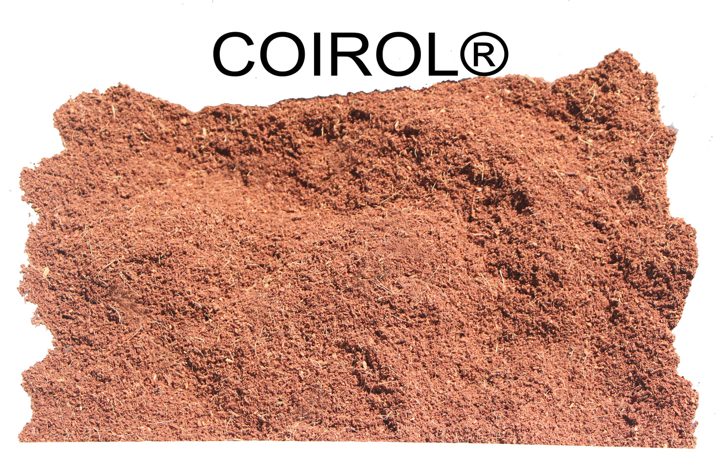 ÖLBINDEMITTEL - COIROL®