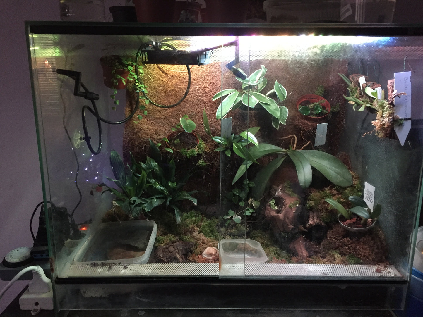 20L Terrariengrund und Tierstreu -Kokoserde fein oder grob (Chips)