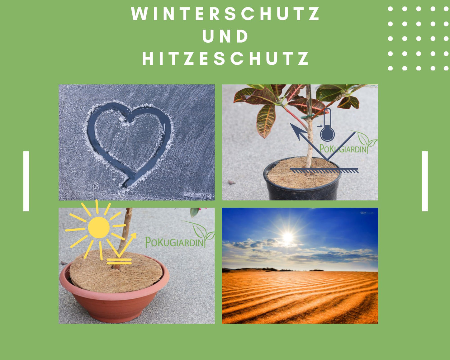Kokosmulchscheiben in unterschiedlichen Größen