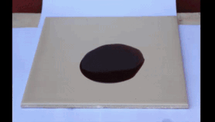 ÖLBINDEMITTEL - COIROL®