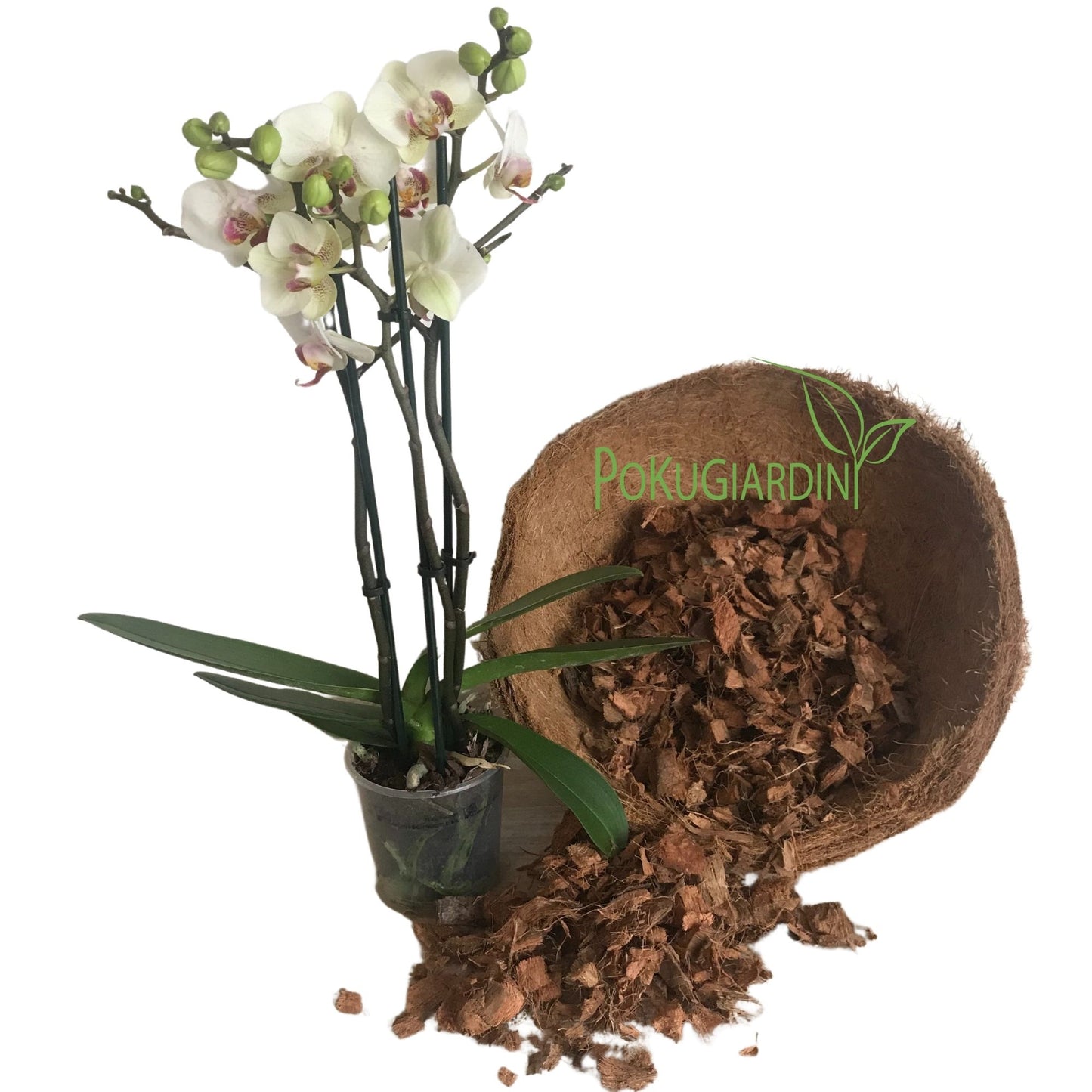 Orchideen-Substrat, reine Kokos Husk Chips