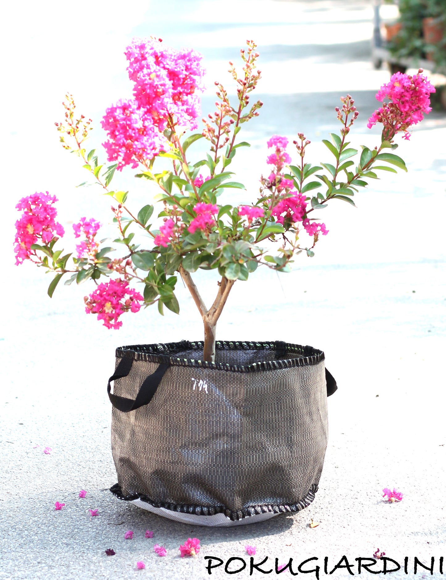 Baggy Planter® Pflanztaschen -10L - 172L