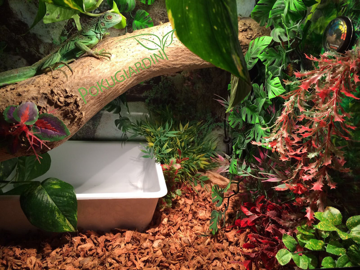 20L Terrariengrund und Tierstreu -Kokoserde fein oder grob (Chips)